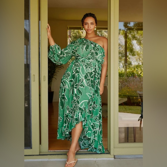 Anthropologie Dresses & Skirts - Farm Rio Anthropologie 3X one shoulder ruffle dress
